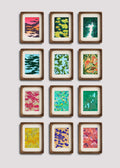 The Complete 2026 Collection — Murmuring Roots